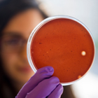 Researcher holding Petri dish