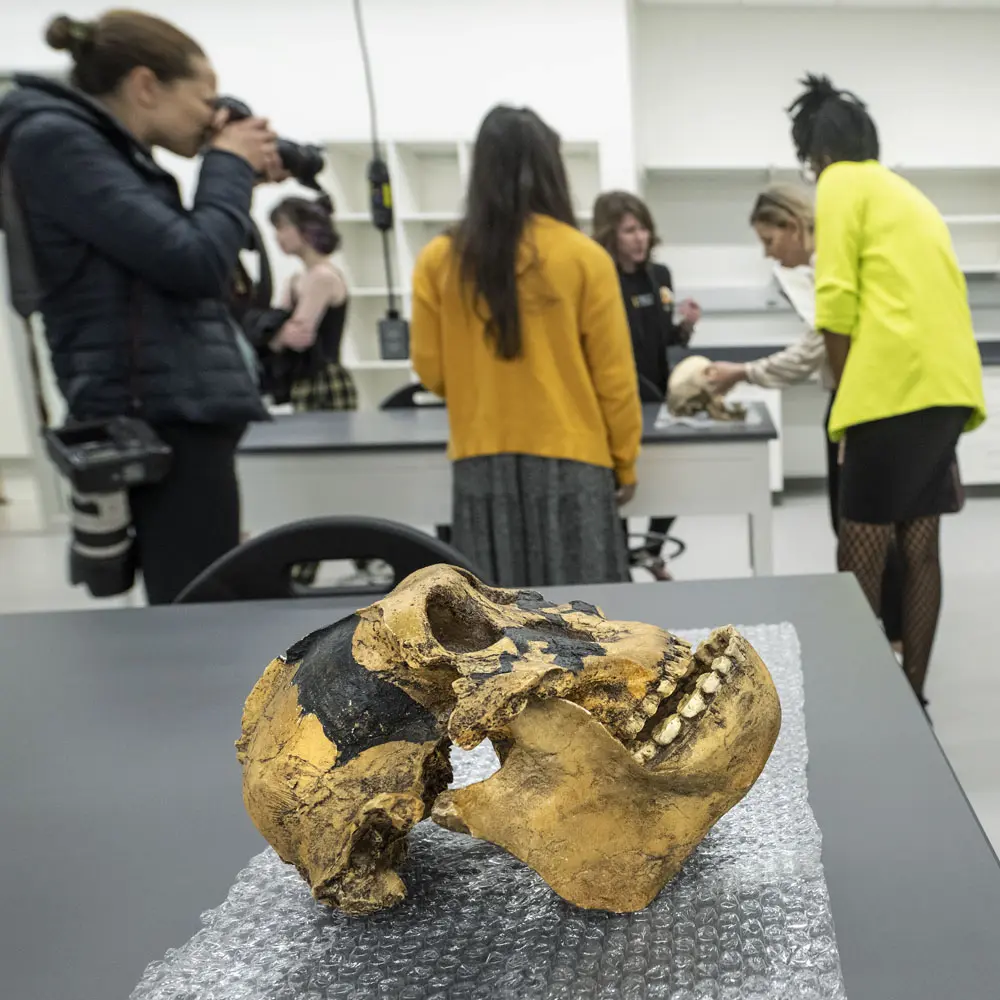Photo of a skull on table in a VCU STEM building lab.