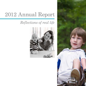 Graphic of 2012 annual report cover