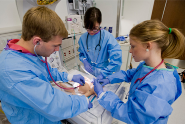 Students in the Center for Human Simulation and Patient Safety