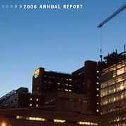 Graphic of 2006 annual report cover