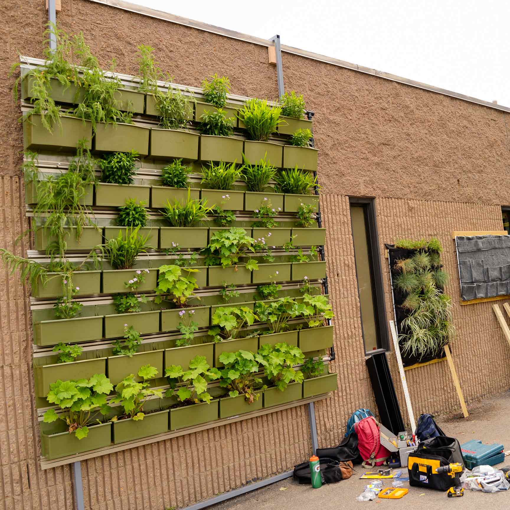 A metal frame with rows of planters and greenery hangs along the side of a brick building.
