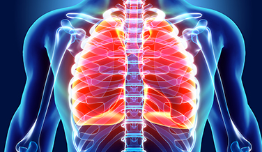 3D rendering of transparent human torso with the lungs being highlighted.