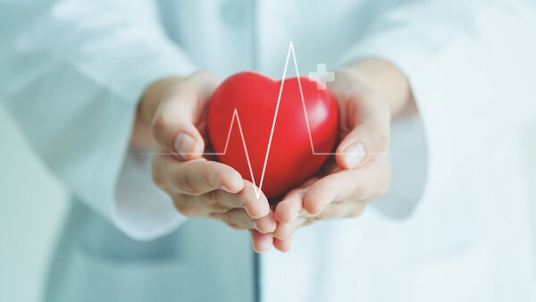 Doctor holding a red heart-shaped object.